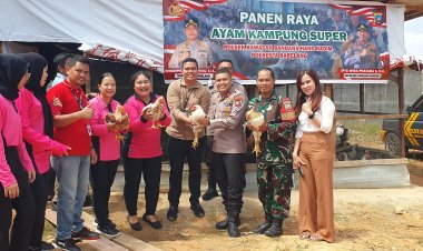 Panen Raya Ayam Kampung Super Tahap I Polsek Kawasan Bandara Hang Nadim, Dukung Program Asta Cita Presiden RI dalam Swasembada Pangan