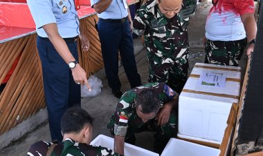 Danlanud RSA Tebar 10 Ribu Benih Ikan dan Lobster untuk Ketahanan Pangan Natuna