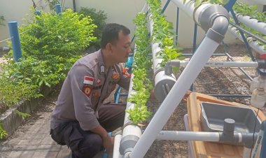 Polsek Bengkong Dukung Ketahanan Pangan Nasional dengan Program Pengelolaan Lahan Produktif