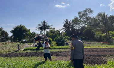 Polsek Balai Dorong Warga Manfaatkan Lahan Kosong untuk Swasembada Pangan
