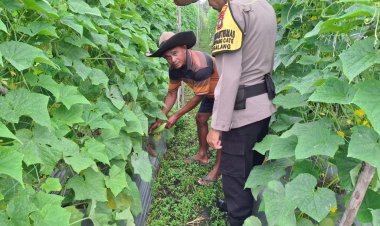 Polsek Galang dan Warga Berkolaborasi Wujudkan Kemandirian Pangan Lokal di Kelurahan Sungai Raya