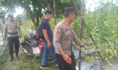 Polsek Sungai Beduk Gelar Program Ketahanan Pangan dengan Manfaatkan Lahan Tidur di Duriangkang