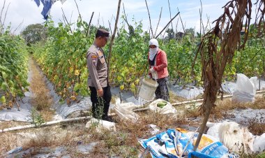 Polsek Batu Aji Bersama Petani Kampung Cunting Wujudkan Ketahanan Pangan