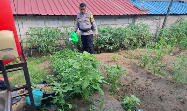 Polsek Lubuk Baja dan KWT Anggrek Sulap Lahan Tidur Jadi Sentra Pangan Produktif