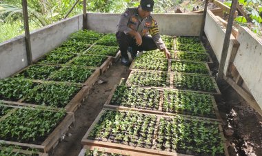 Polsek Sekupang Dukung Program Ketahanan Pangan, Ubah Lahan Tidur Jadi Ladang Produktif