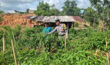 Polsek Nongsa dan Masyarakat Bersinergi Wujudkan Ketahanan Pangan Berkelanjutan