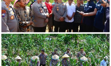 Panen Raya Jagung 1,5 Hektare, Kapolda Kepri Tekankan Ketahanan Pangan