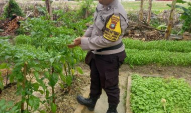 Tanam Sayuran di Lahan Asrama, Polsek Sagulung Dorong Ketahanan Pangan Masyarakat
