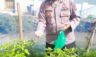 Wujudkan Ketahanan Pangan, Polsek Bulang Manfaatkan Lahan Tidur di Mako