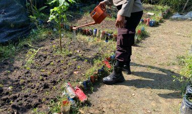Bhabinkamtibmas Kelurahan Batu Merah Dukung Ketahanan Pangan, Ajak Warga Manfaatkan Lahan Kosong