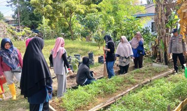 Bhabinkamtibmas Batu Selicin Sulap Lahan Tidur Jadi Kebun Produktif Dukung Ketahanan Pangan