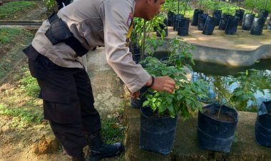Polsek Sagulung Manfaatkan Lahan Tidur untuk Ketahanan Pangan, Dukung Program Nasional Menuju Indonesia Emas 2045
