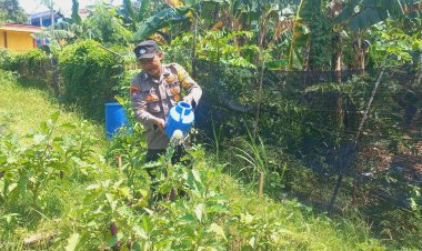 Bhabinkamtibmas Kelurahan Tanjung Sengkuang Dukung Asta Cita Presiden Ri Melalui Ketahanan Pangan Lokal