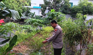 Polsek Batam Kota Dukung Ketahanan Pangan, Wujud Nyata Program Asta Cita Presiden RI