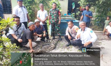 Buaya Peliharaan Warga Diamankan, Pemdes dan BPSPL Lakukan Evakuasi