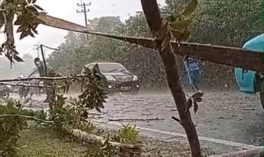 Bhabikamtibmas Sigap Evakuasi Pohon Tumbang Meski Hujan Deras di Sertai Petir