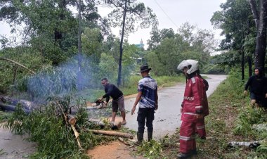Polresta Barelang dan Polsek Nongsa Tetap Siaga di Tengah Libur Hari Kenaikan Isa Almasih, Evakuasi Pohon Tumbang Demi Kelancaran Lalu Lintas