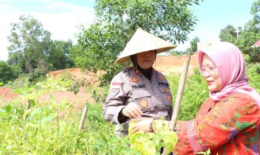 Peringati HUT Bhayangkara ke-79, Polresta Barelang Dorong Ketahanan Pangan Lewat Lomba Pekarangan Pangan Bergizi