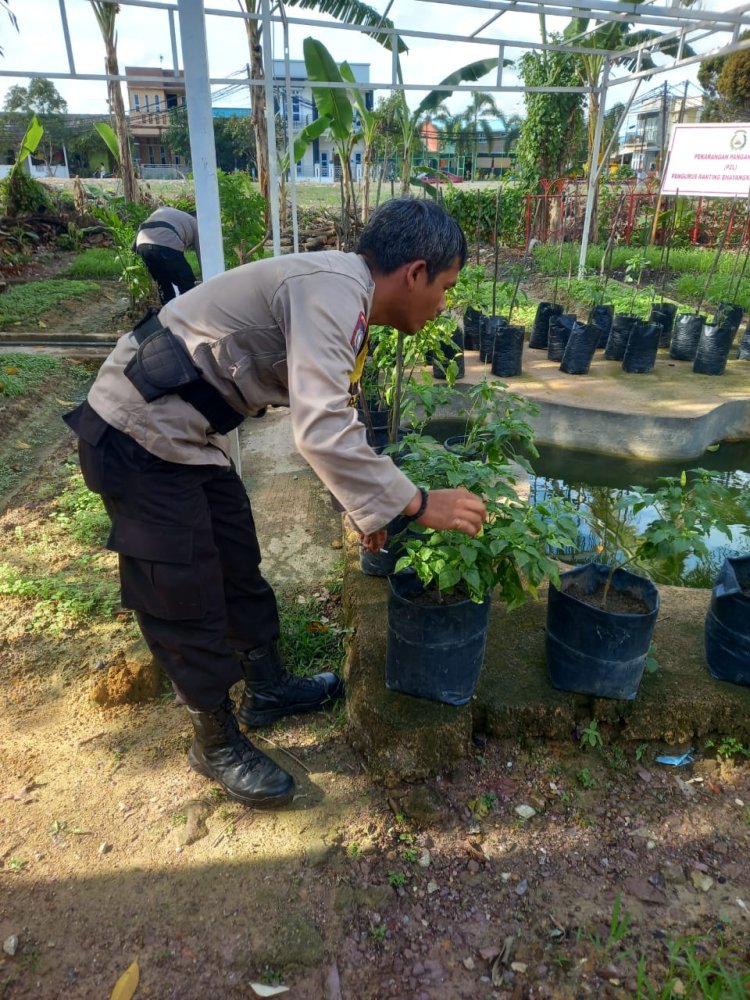Polsek Sagulung Manfaatkan Lahan Tidur untuk Ketahanan Pangan, Dukung Program Nasional Menuju Indonesia Emas 2045