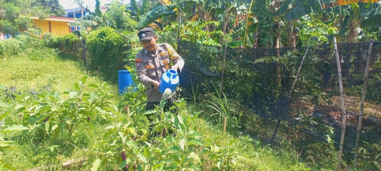 Bhabinkamtibmas Kelurahan Tanjung Sengkuang Dukung Asta Cita Presiden Ri Melalui Ketahanan Pangan Lokal