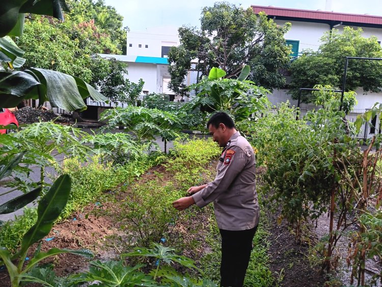Polsek Batam Kota Dukung Ketahanan Pangan, Wujud Nyata Program Asta Cita Presiden RI
