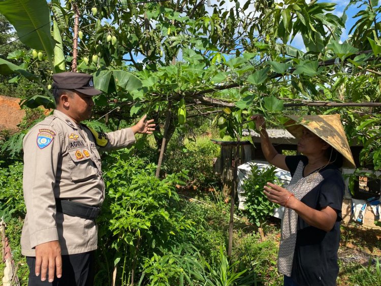Polsek Nongsa Manfaatkan Lahan Tidur Dukung Program Ketahanan Pangan Nasional