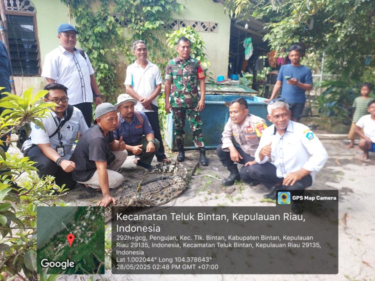 Buaya Peliharaan Warga Diamankan, Pemdes dan BPSPL Lakukan Evakuasi