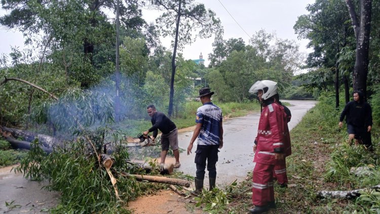 Polresta Barelang dan Polsek Nongsa Tetap Siaga di Tengah Libur Hari Kenaikan Isa Almasih, Evakuasi Pohon Tumbang Demi Kelancaran Lalu Lintas