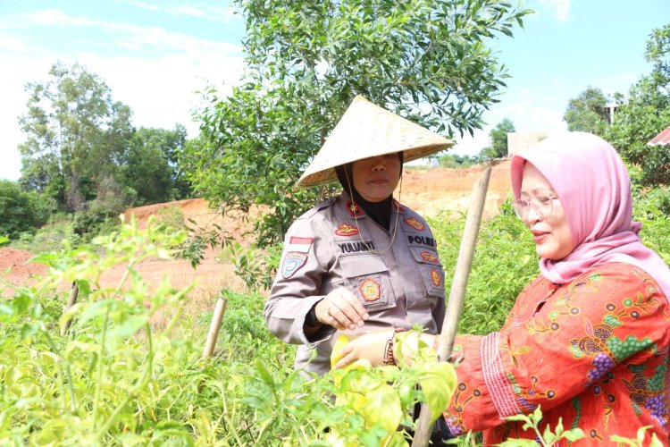 Peringati HUT Bhayangkara ke-79, Polresta Barelang Dorong Ketahanan Pangan Lewat Lomba Pekarangan Pangan Bergizi