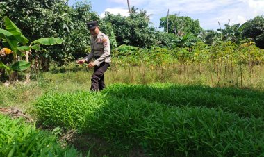 Wujudkan Indonesia Emas, Polsek Belakang Padang Gerakkan Ketahanan Pangan Warga