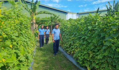 Semangat TNI AU Ampuh di Perbatasan: Lanud RSA Natuna Rutin Jaga Lahan Pangan