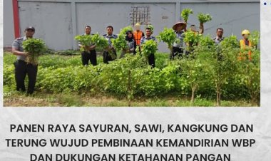 Panen Raya di Balik Jeruji: Lapas Batam Buktikan Warga Binaan Bisa Mandiri dan Produktif