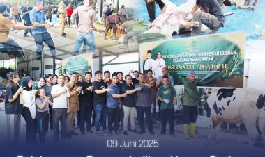 Kejaksaan Negeri Batam Rayakan Idul Adha 1446 H dengan Penyembelihan Hewan Qurban