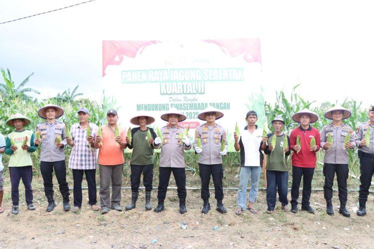 Panen Raya Jagung di Batam, Polresta Barelang Wujudkan Asta Cita Presiden Menuju Indonesia Emas
