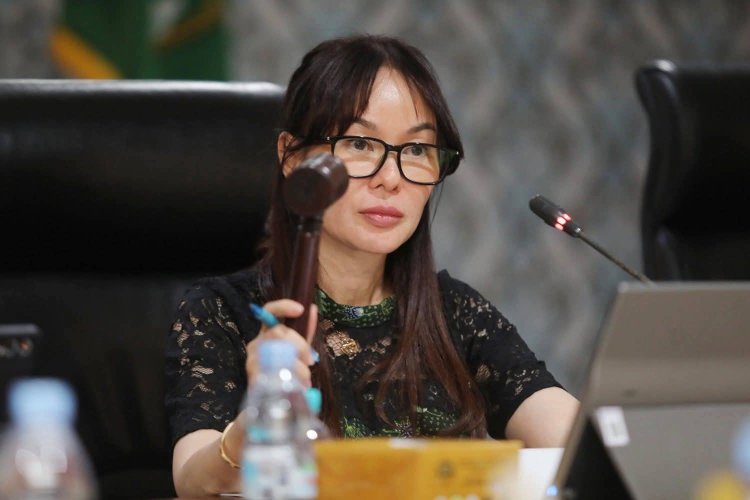 Wawako Li Claudia Tegaskan Penataan Ruang Demi Investasi dan Kepentingan Publik