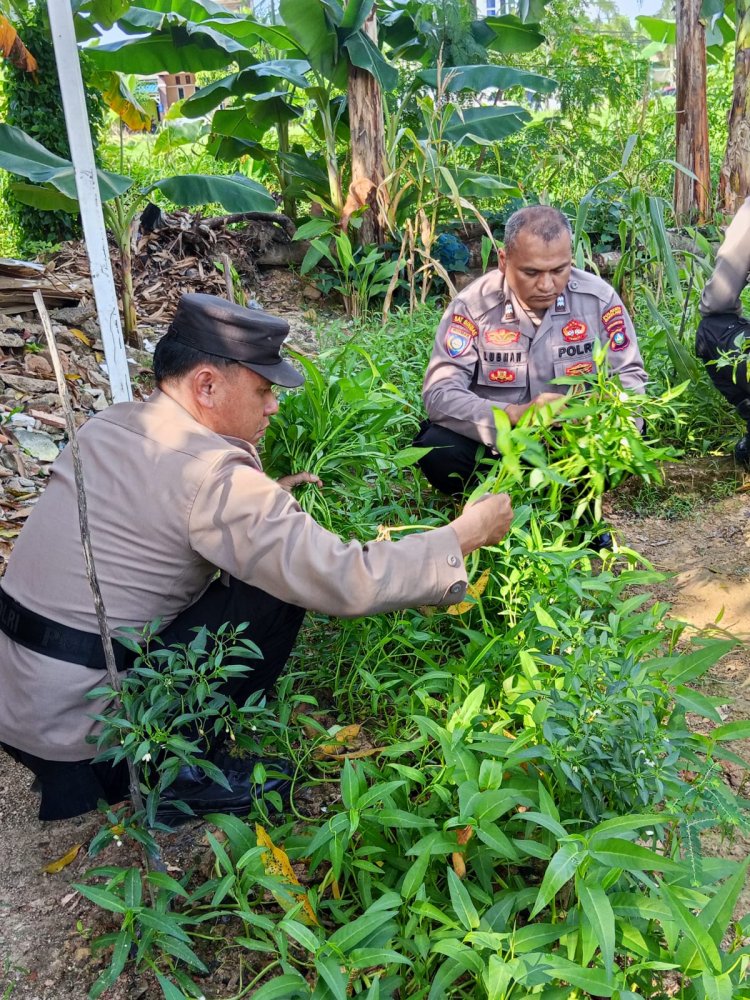 Polsek Sagulung Hadirkan Kebun Ketahanan Pangan, Perkuat Sinergi Polri dan Masyarakat