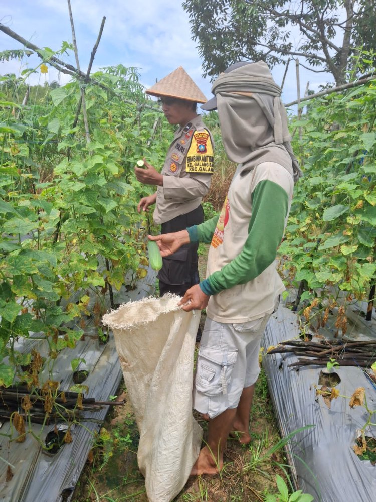 Polri Bersama Petani Wujudkan Ketahanan Pangan Menuju Indonesia Emas 2045