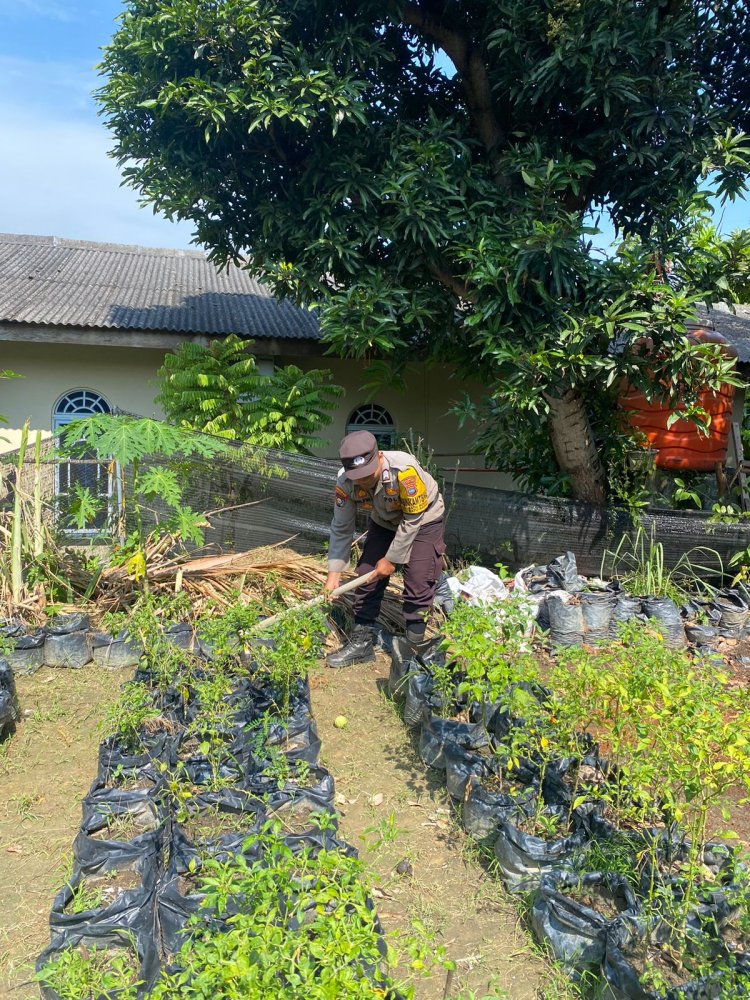 Bhabinkamtibmas Kelurahan Batu Merah Dukung Ketahanan Pangan Wujudkan Asta Cita Presiden RI Menuju Indonesia Emas