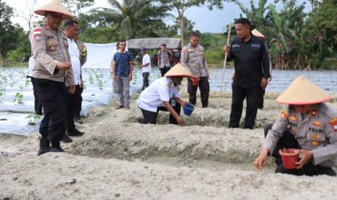 Polres Lingga Tanam Jagung Serentak Kuartal III Dukung Ketahanan Pangan Nasional: Sinergi Nyata untuk Kesejahteraan Masyarakat