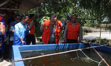 IRJEN POL. ASEP SAFRUDIN KAPOLDA KEPRI TABUR 50.000 BENIH IKAN DI TIBELAT FARM SEKUPANG
