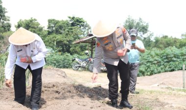 POLRES KARIMUN DUKUNG SWASEMBADA PANGAN NASIONAL MELALUI PENANAMAN JAGUNG SERENTAK