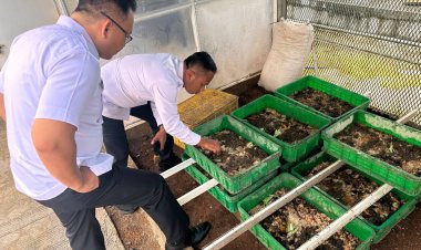 Lapas Kelas IIA Salemba Kelola Sampah Organik untuk Budidaya Maggot