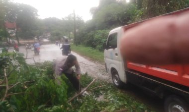 Polsek Bengkong Respon Cepat Atasi Pohon Tumbang Ganggu Arus Lalu Lintas