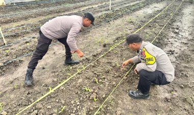 Polsek Daik Lingga Dukung Swasembada Pangan Nasional, Polri Siap Jadi Penggerak Kelompok Tani