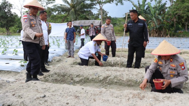 Polres Lingga Tanam Jagung Serentak Kuartal III Dukung Ketahanan Pangan Nasional: Sinergi Nyata untuk Kesejahteraan Masyarakat
