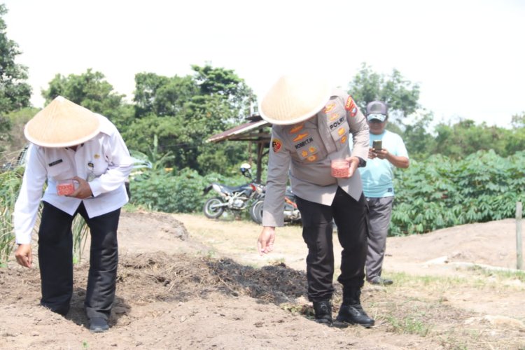 POLRES KARIMUN DUKUNG SWASEMBADA PANGAN NASIONAL MELALUI PENANAMAN JAGUNG SERENTAK