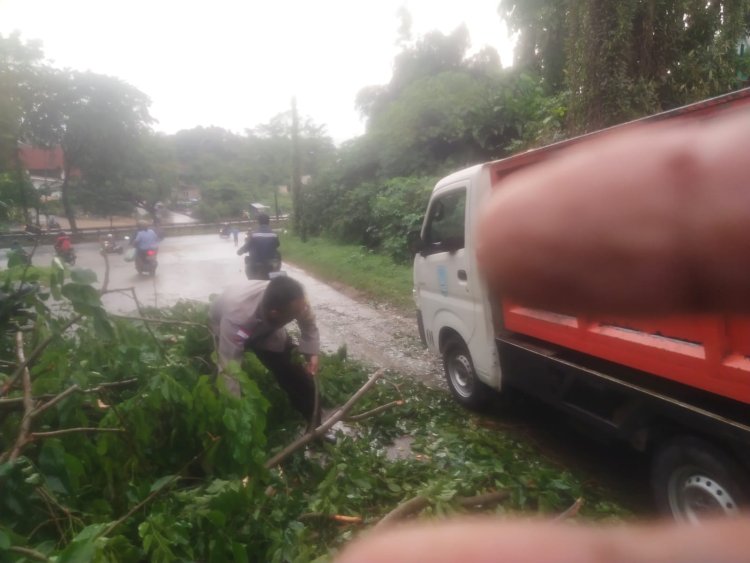 Polsek Bengkong Respon Cepat Atasi Pohon Tumbang Ganggu Arus Lalu Lintas