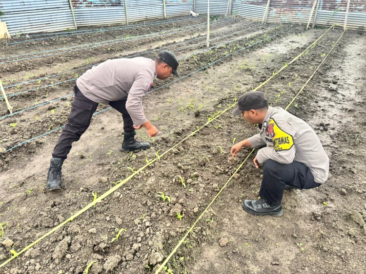 Polsek Daik Lingga Dukung Swasembada Pangan Nasional, Polri Siap Jadi Penggerak Kelompok Tani