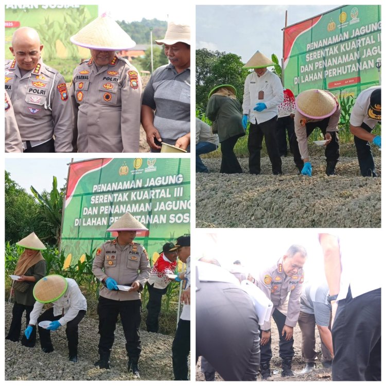 Kapolresta Barelang Hadiri Penanaman Jagung Serentak di Rempang Cate, Dorong Ketahanan Pangan Nasional