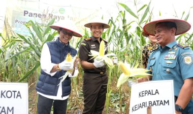 Panen Jagung di Rempang, Wali Kota Amsakar Soroti Peran Strategis Kejari dalam Ketahanan Pangan